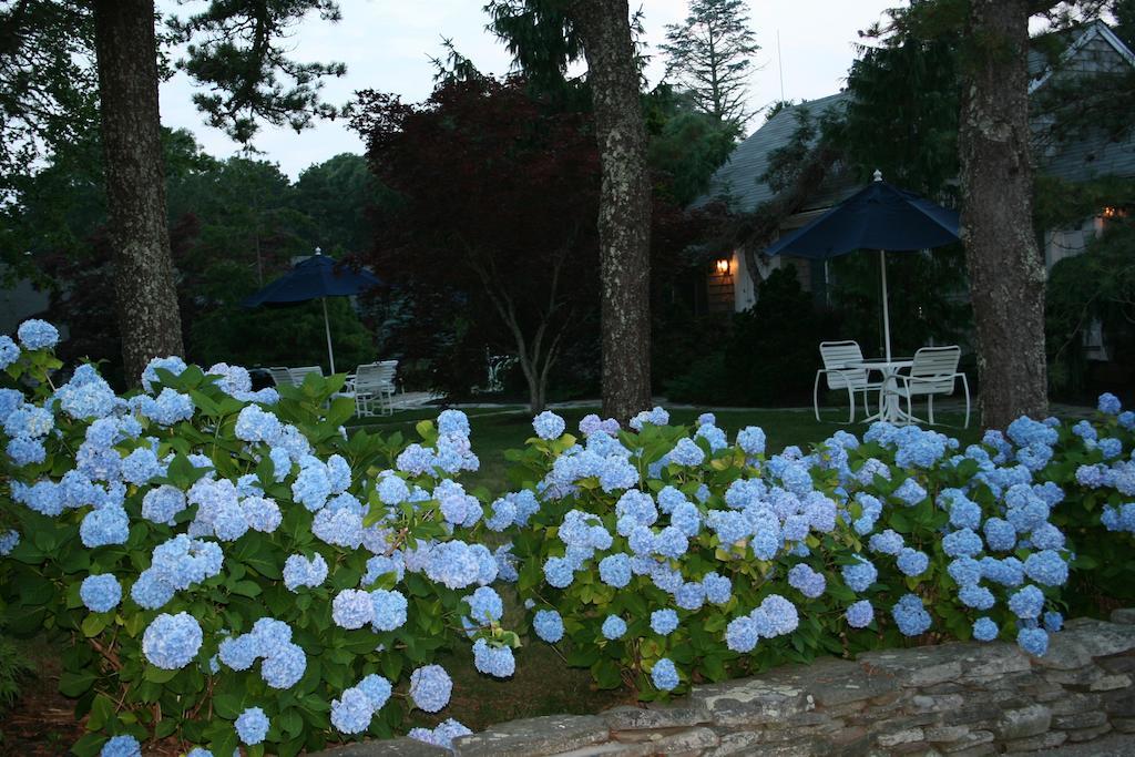 Pleasant Bay Village Resort Chatham Exterior foto